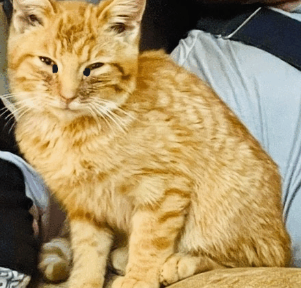 A Sight for Sore Eyes