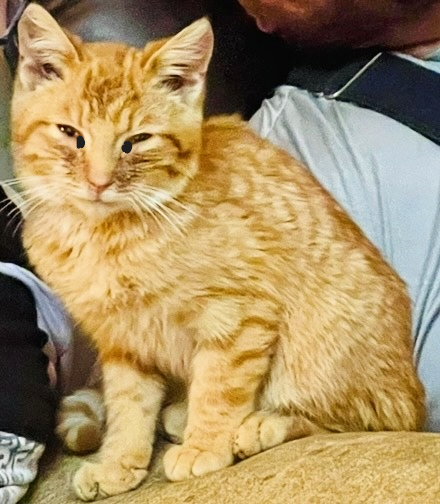 A Sight for Sore Eyes